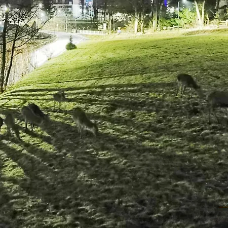 Budnicza Struga Z Sauna I Parkingiem - 5d *