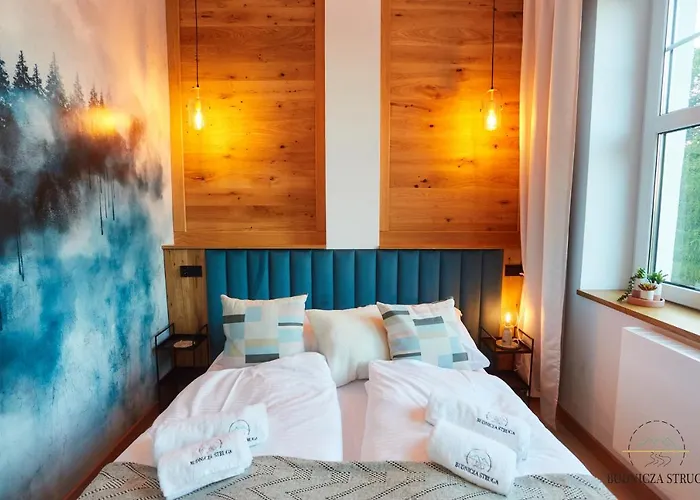 Budnicza Struga Z Sauną I Parkingiem - 5d *